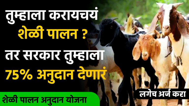 Sheli Palan Yojana Maharashtra