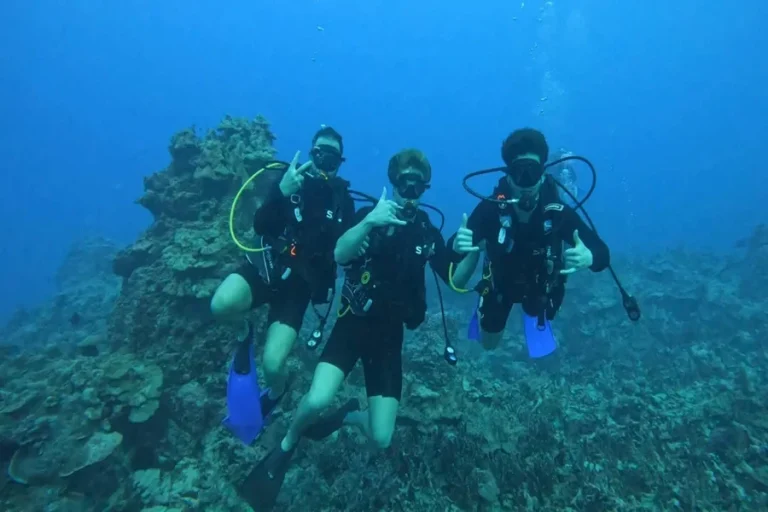 Best Time of Year for Scuba Diving Adventures
