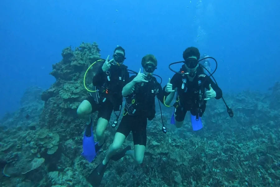 Best Time of Year for Scuba Diving Adventures