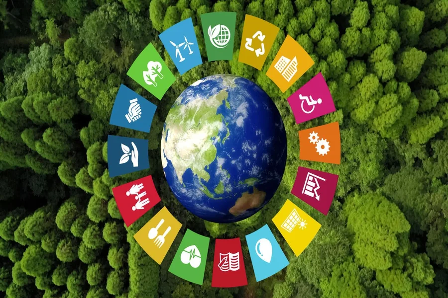 Sustainable Development