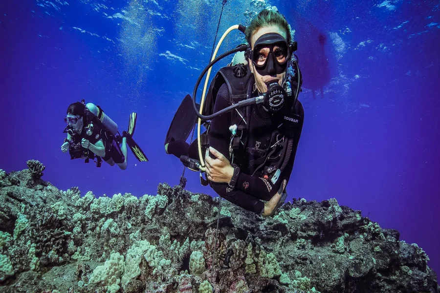 Scuba Diving