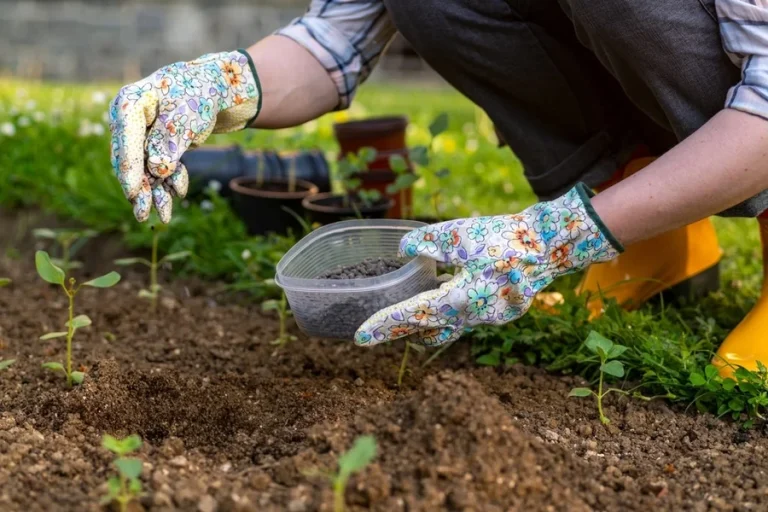 The Importance Of Good Soil Health In Successful Landscaping
